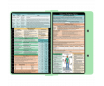 WhiteCoat Clipboard® - Mint Wildland Firefighter Edition